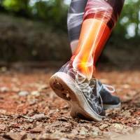 Brachial Plexus Injuries in adults<br><br>