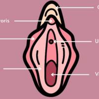 Labiaplasty in Hyderabad